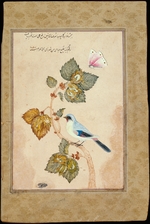 Shafi Abbasi, Muhammad - A Bird on a Hazel Branch