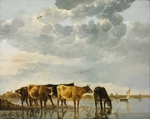 Cuyp, Aelbert - Cows in a River