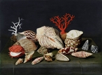 Linard, Jacques - Still life with shells and corals