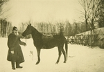 Tolstaya, Sophia Andreevna - Leo Tolstoy with a Horse in Yasnaya Polyana