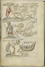 Hautscilt, Lubertus - Liber Astrologiae