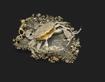 The Oriental Applied Arts - Box in the Shape of the Crab