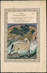 Imam Bakhsh Lahori - Le cheval et le loup (The Horse and the Wolf)