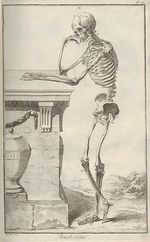 Anonymous - Anatomy. From Encyclopédie by Denis Diderot and Jean Le Rond d'Alembert