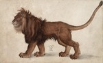 Dürer, Albrecht - Lion
