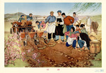 Anonymous - Sowing Test
