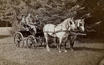 Anonymous - Emperor Alexander III (1845-1894) and Empress Maria Fyodorovna (1847-1928) on a horse carriage