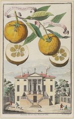 Montalegre, Joseph de - Aranzo hermaphrodito coronato