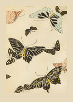 Korin, Furuya - Illustration from Shin bijutsukai