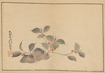 Hoitsu, Sakai - Sakai Hoitsu gajo (Sakai Hoitsu painting album)