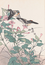 Keinen, Imao - The Four Seasons Bird and Flower Albums (Keinen Kacho Gafu)