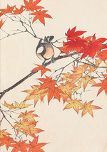 Keinen, Imao - The Four Seasons Bird and Flower Albums (Keinen Kacho Gafu)