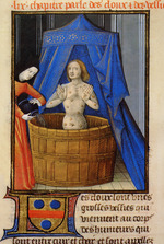 Anonymous - Treatment of boils with a hot herbal bath. From Livre des propriétés des choses by Barthélemy l'Anglais