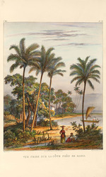 Rugendas, Johann Moritz - The coast near Bahia. From Voyage pittoresque dans le Brésil