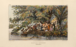 Rugendas, Johann Moritz - Fishermen of Ilhéus. From Voyage pittoresque dans le Brésil