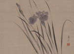 Kansai, Mori - Irises sway in the wind