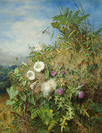 Mutrie, Martha Darley - Wild flowers at the corner of a cornfield