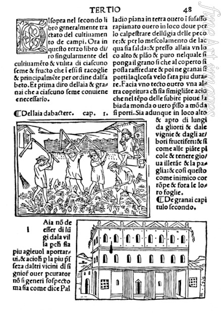 Italian master - Page of the Book 