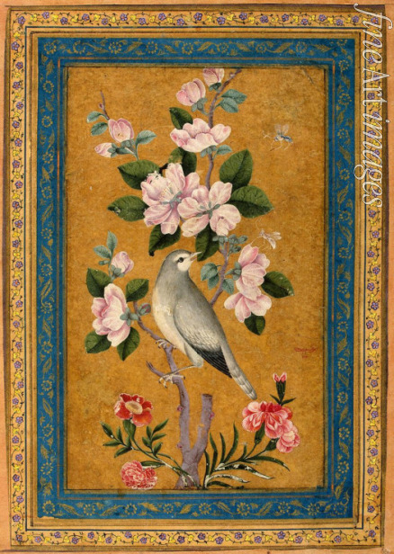Yusuf Zaman - Bird Perching on a Blossoming Branch