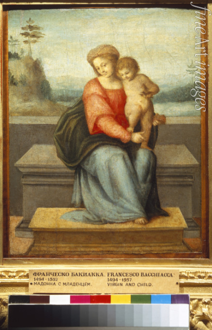 Bacchiacca Francesco - Madonna mit dem Kinde