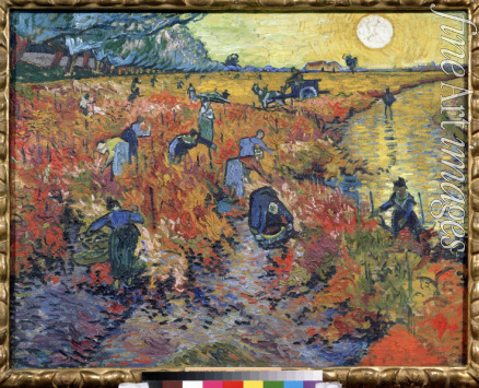 Gogh Vincent van - The red vineyards at Arles