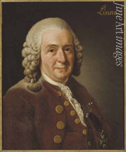 Roslin Alexander - Porträt von Carl von Linné (1707-1778)