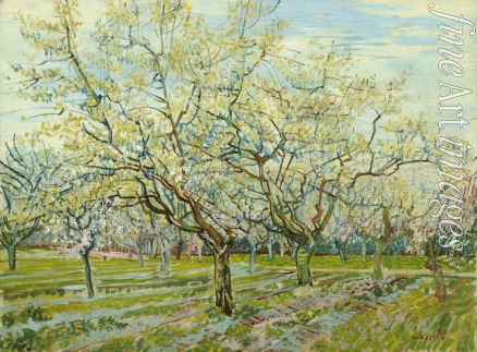 Gogh Vincent van - Der weiße Obstgarten