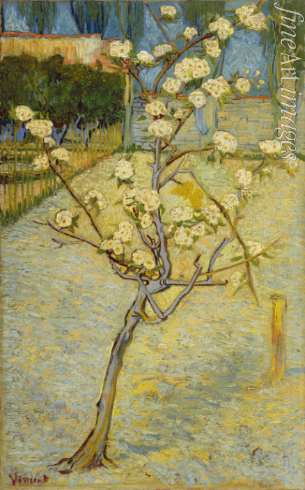 Gogh Vincent van - Kleiner blühender Birnbaum