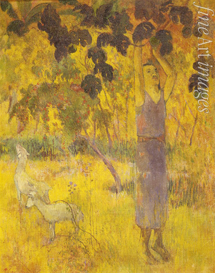 Gauguin Paul Eugéne Henri - Ein Mann bei der Obsternte