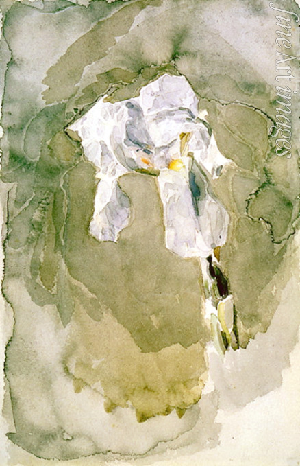 Vrubel Mikhail Alexandrovich - White iris