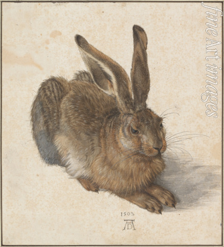 Dürer Albrecht - Hare