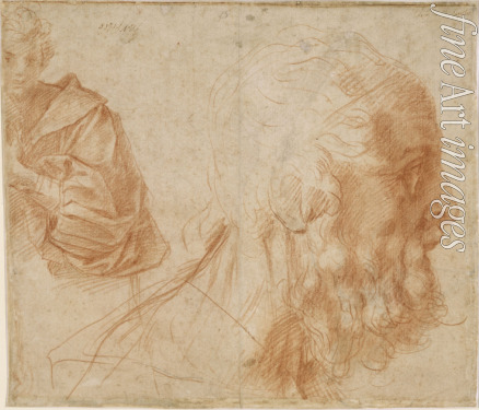 Andrea del Sarto - A youth and the head of an old man (Homer?). Study