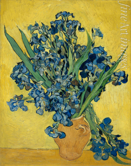 Gogh Vincent van - Irises