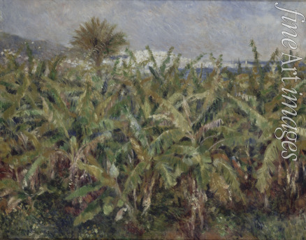 Renoir Pierre Auguste - Field of Banana Trees (Champ de bananiers)
