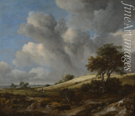 Ruisdael Jacob Isaacksz van - Kornfeld mit der Zuiderzee im Hintergrund