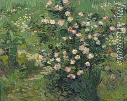 Gogh Vincent van - Roses