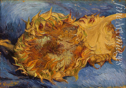 Gogh Vincent van - Die Sonnenblumen
