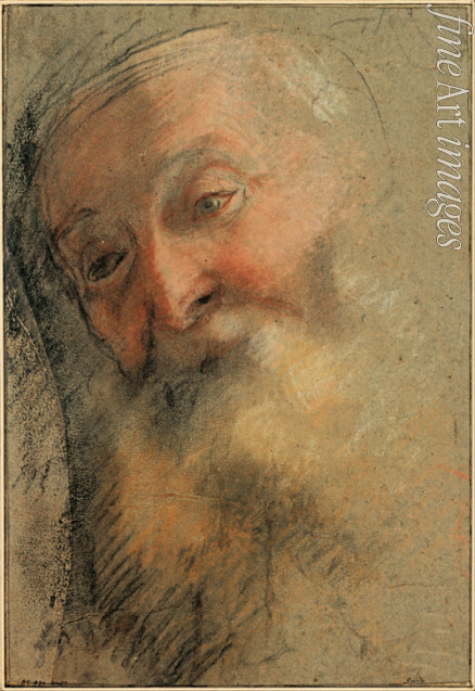 Barocci Federigo - Kopf eines alten, bärtigen Mannes