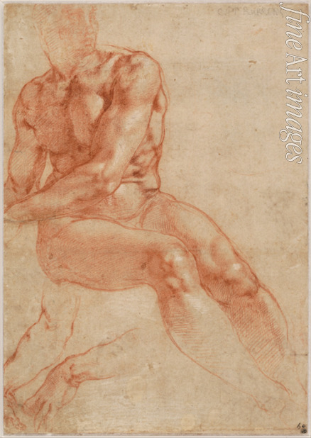 Buonarroti Michelangelo - Seated Young Male Nude and Two Arm Studies