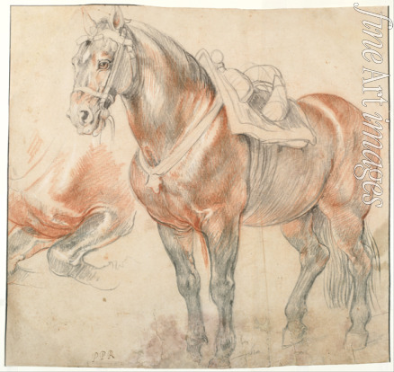Rubens Pieter Paul - Gesatteltes Pferd