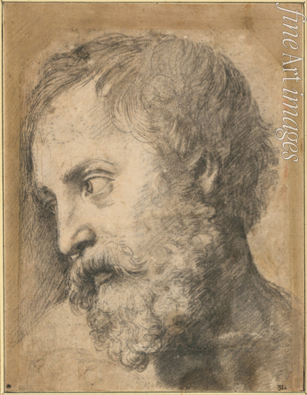 Raphael (Raffaello Sanzio da Urbino) - Head of An Apostle (Study for 