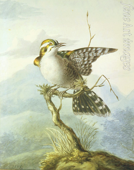 Os Georgius Jacobus Johannes van - A little bird