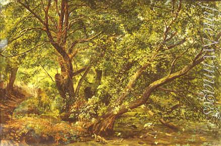 Iwanow Alexander Andrejewitsch - Bäume am Bach