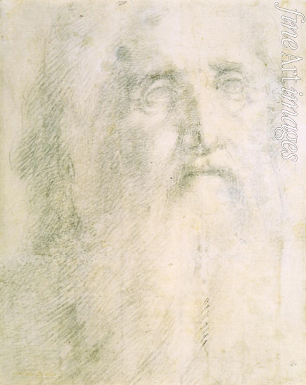 Beccafumi Domenico - Skizze des Kopfes eines alten Mannes mit Bart