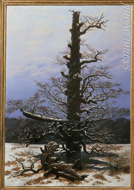Friedrich Caspar David - Oak Tree in the Snow