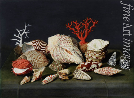 Linard Jacques - Still life with shells and corals