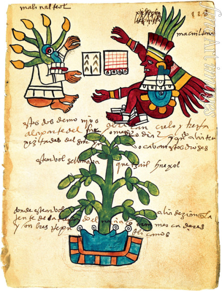 Präkolumbische Kunst - Kakaobaum aus dem Codex Tudela