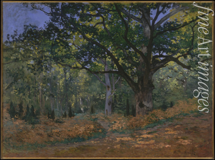Monet Claude - The Bodmer Oak, Fontainebleau Forest