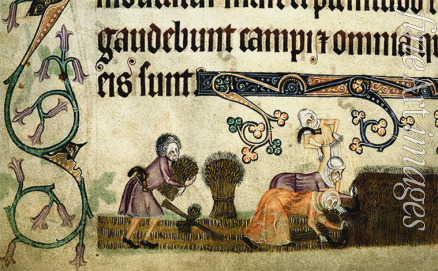 Anonymous - Reaping and binding sheaves (From the Luttrell Psalter)