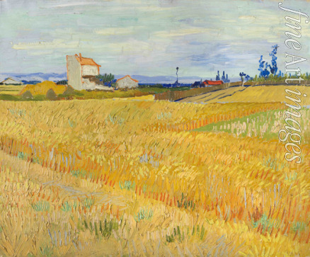 Gogh Vincent van - Weizenfeld (Champ de blé)